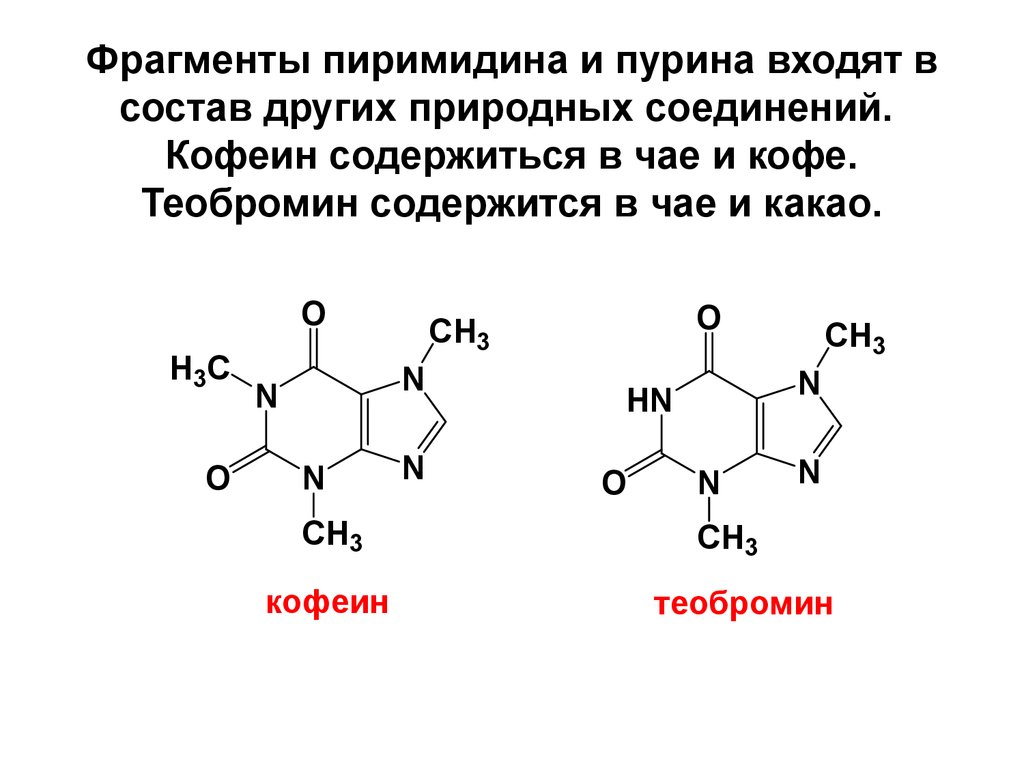 Фрагменты пиримидина и пурина входят в состав других природных соединений. Кофеин содержиться в чае и кофе. Теобромин содержится в чае и ка