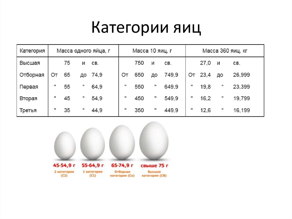 Сколько грамм скорлупы в яйце. Яйцо 0 категории вес. Классификация яиц по категориям куриных. Яйцо 1 категории. Диаметр куриного яйца с1.