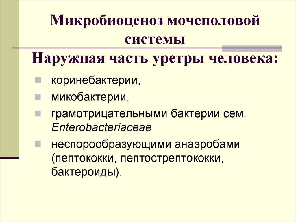 Микробиоценоз это