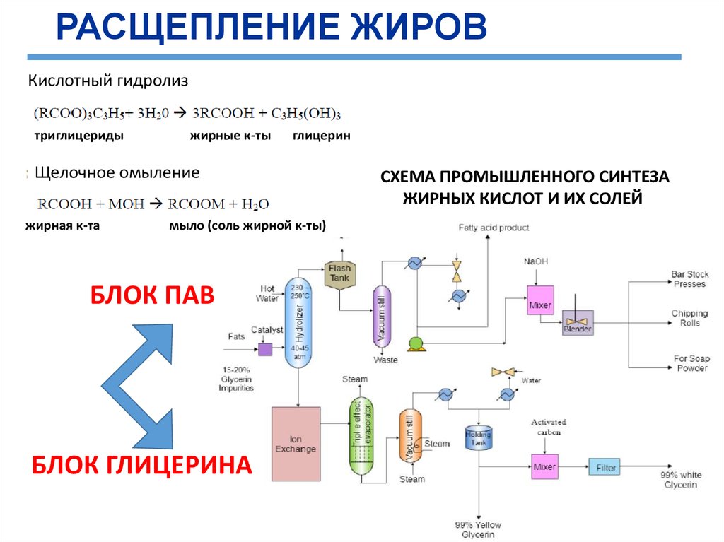 Расщепление жиров. Разложение жиров химия. Расщепление глицерина. Химия расщепление жиров.