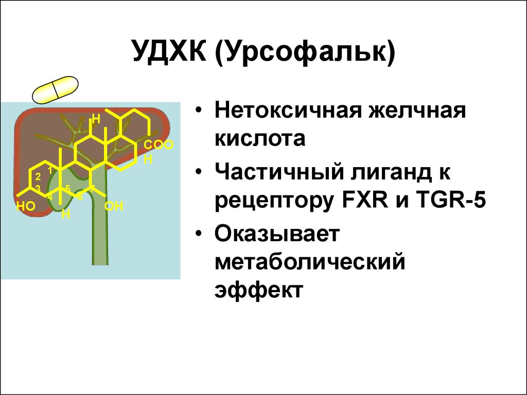 Удхк 250 мг инструкция