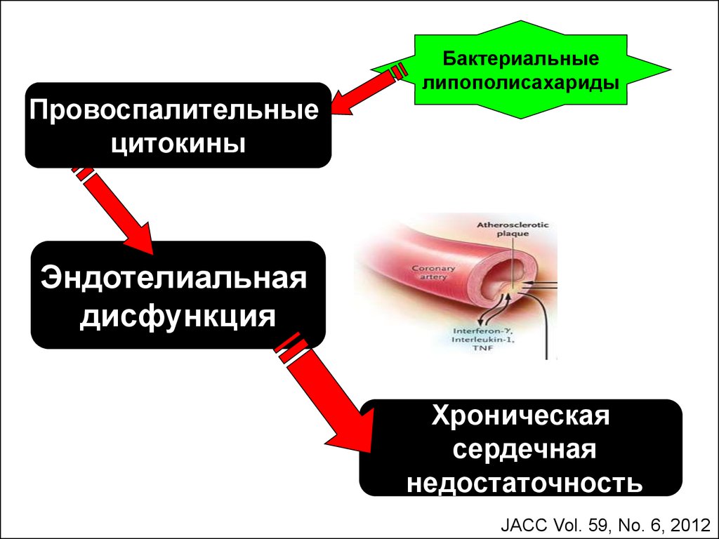 Эндотелиальная дисфункция презентация