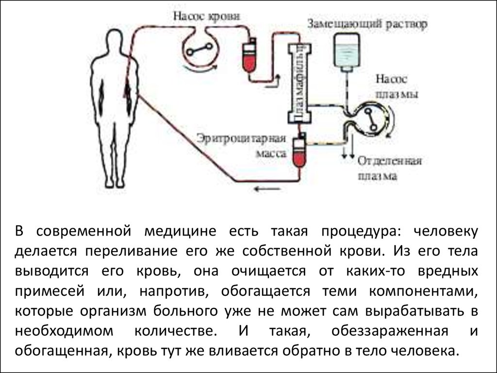 Переливание крови из вены в ягодицу от прыщей схема