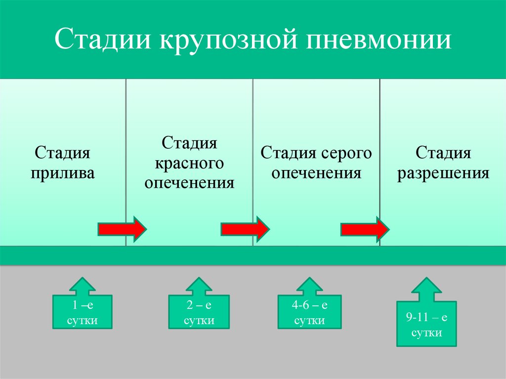 Один стадий. Крупозная пневмония стадия разрешения. Стадии крупозной пневмонии. Крупозная пневмония стадии развития. Клинические стадии крупозной пневмонии.