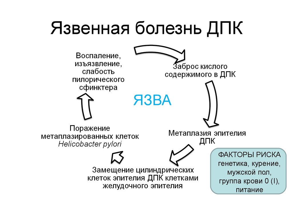 Язвенная болезнь патогенез схема