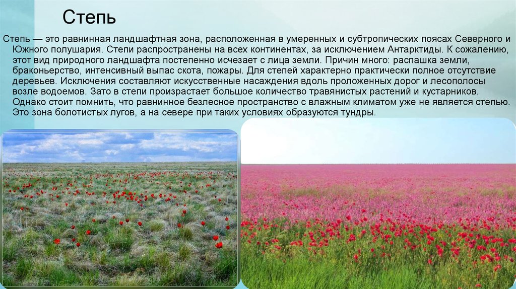 Какие природные комплексы отличаются от степи. Описание степи. Степь расположена в умеренном. Степная зона России. Сообщество степи.
