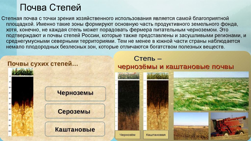В какой природной зоне почвы сильно заболочены. Почвы в лесостепи чернозем в России. Степи свойства почвы. Тип почвы в степи. Зона степей почва.