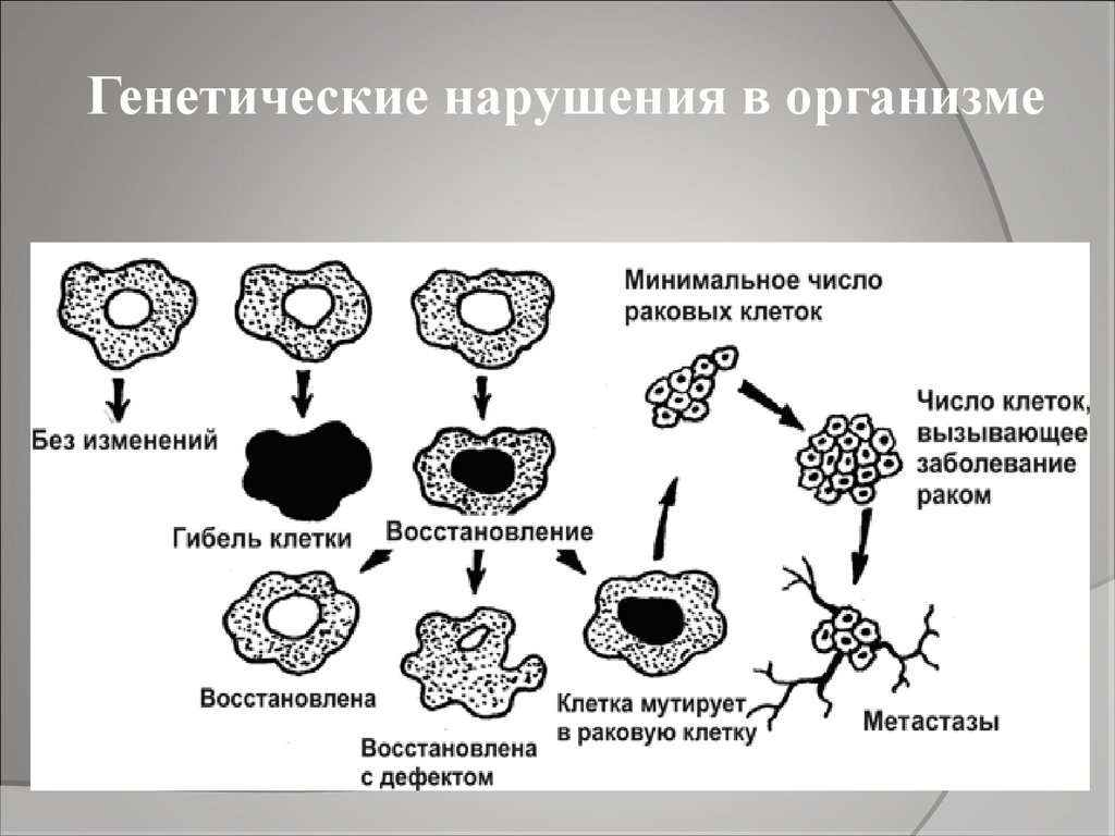 Биологическое действие радиации на человека. Биологическое воздействие излучения на человека. Биологическое воздействие радиации. Биологическое действие радиоактивных излучений на живые организмы. Биологическое действие ионизирующих излучений на живые организмы.