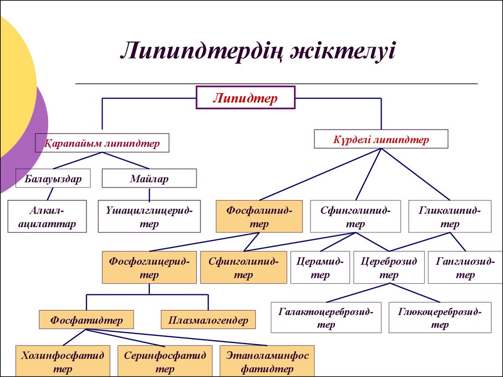 Липидтер алмасуы презентация