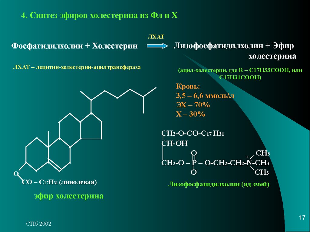 Биологическая роль холестерина