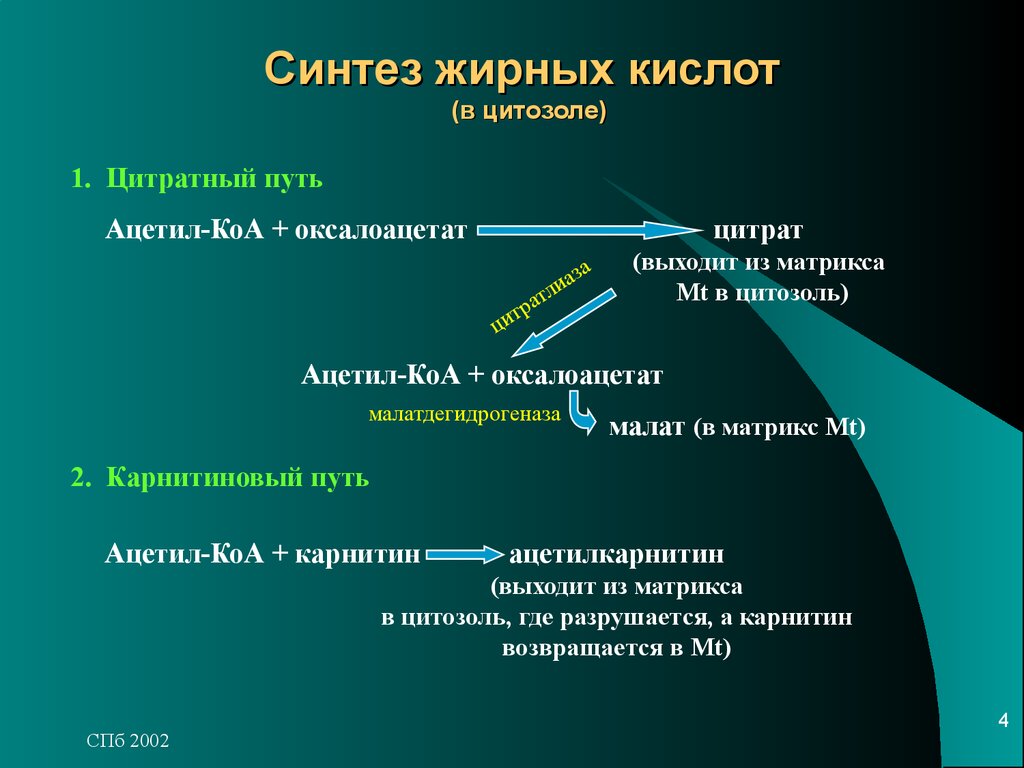 Биосинтез протекает. Этапы синтеза жирных кислот. Синтез высших жирных кислот. Мультиферментный комплекс синтеза жирных кислот. Синтез жирных кислот схема.