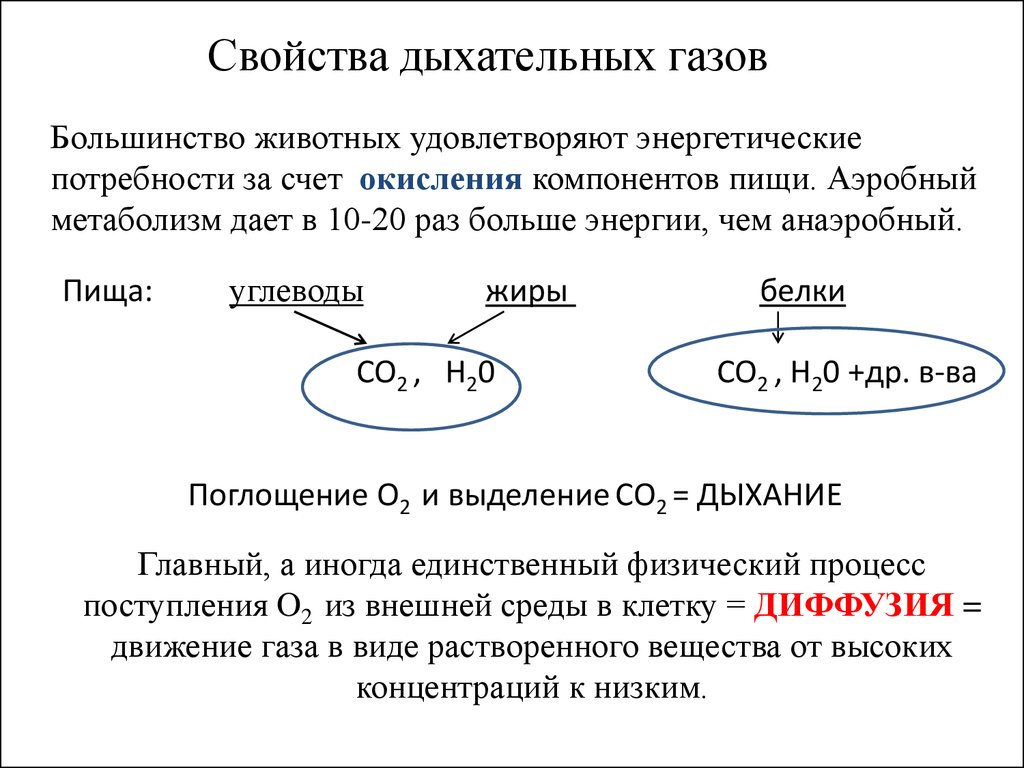 Поглощаемый газ дыхание