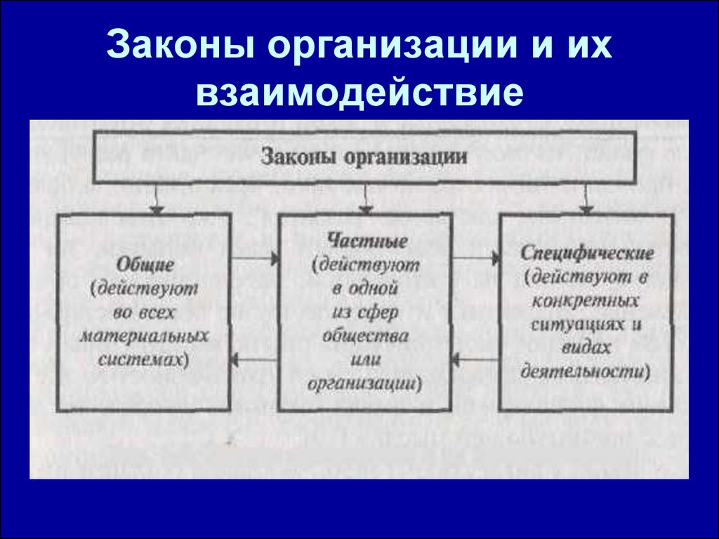 Законы действуют в системе. Законы организации. Взаимосвязь законов организации. Общие законы. Взаимосвязь основных законов организации.