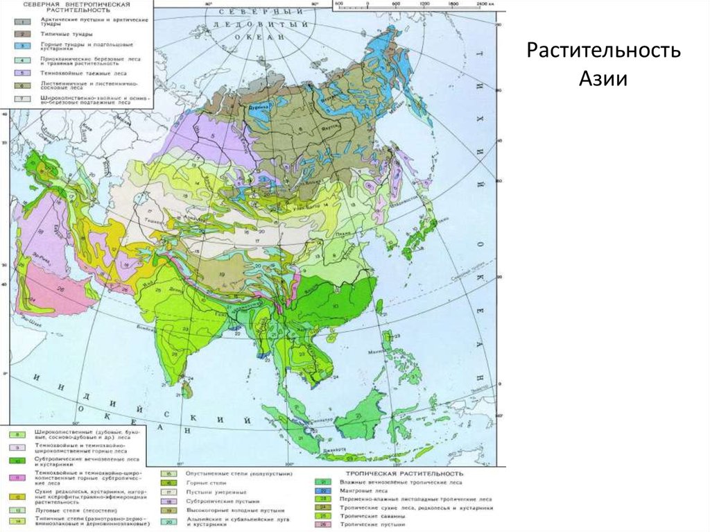 Географические зоны евразии. Почвенная карта Евразии карта. Карта почв Юго Восточной Азии. Климатическая карта Азии. Карта природных зон Восточной Азии.
