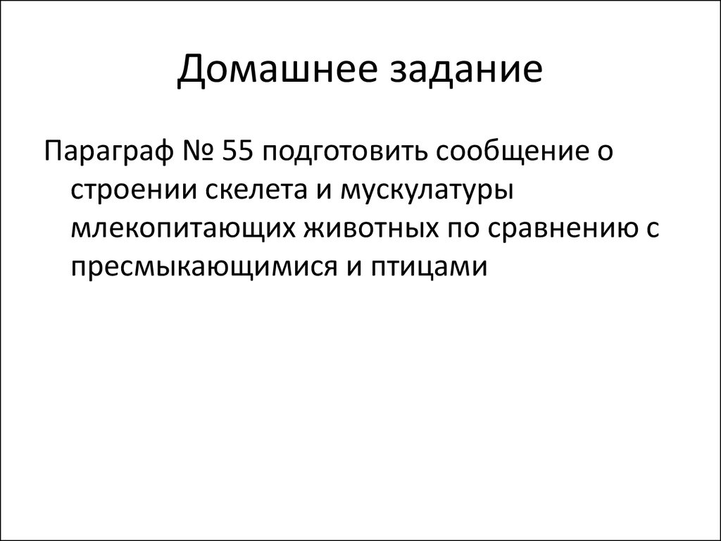 Класс Млекопитающие. Общая характеристика и особенности внешнего строения  млекопитающих - презентация онлайн