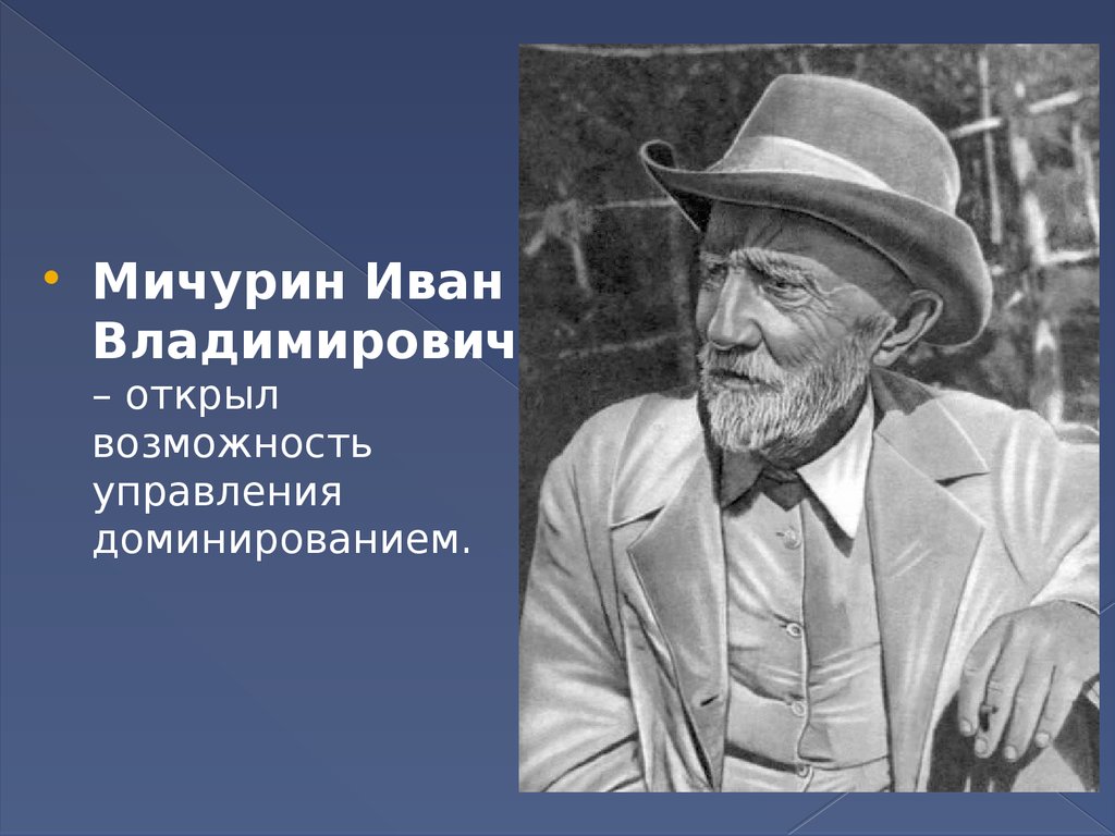 Мичурин фото. Иван Владимирович Мичурин. Иван Мичурин достижения. Иван Мичурин портрет. Иван Владимирович Мичурин вклад в биологию.