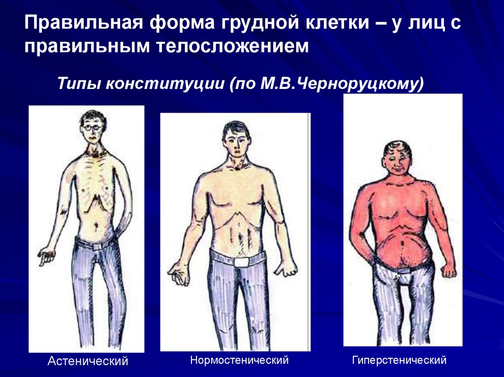 Формы грудной клетки. Нормостенический Тип грудной клетки. Форма грудной клетки у астеников. Нормостеническая форма грудной клетки. Астенический Тип грудной клетки.