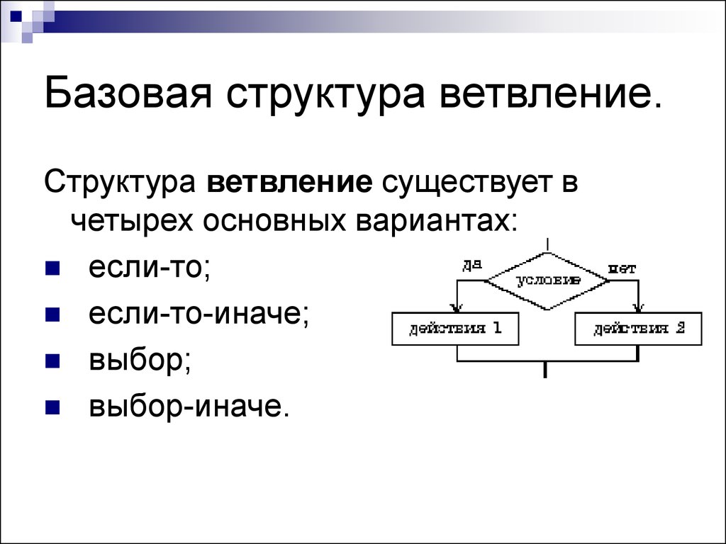 Полная информатика