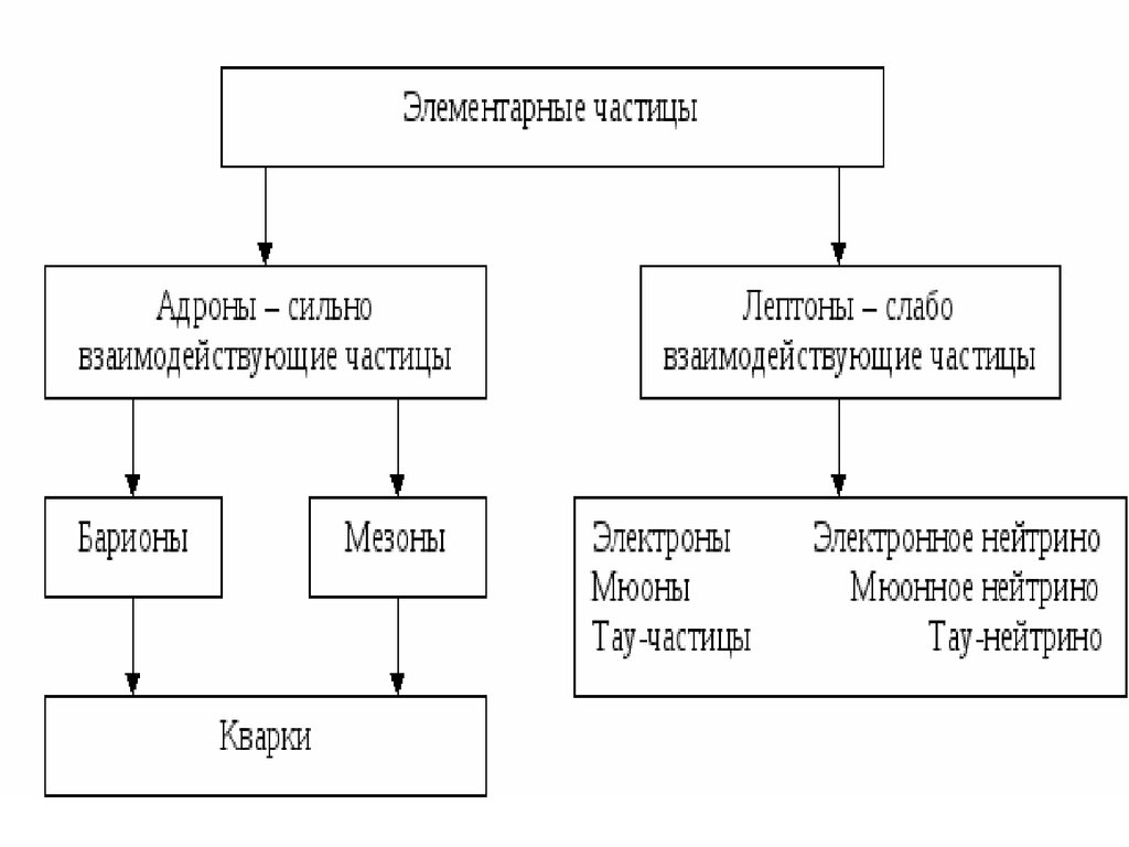 Классификация и структура адронов презентация