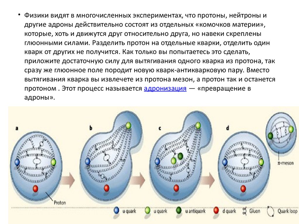 Адроны кварки презентация