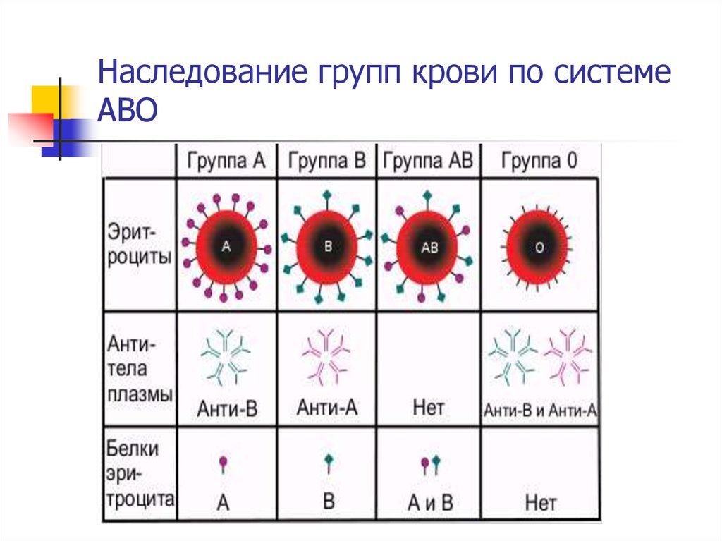 Схема наследования крови