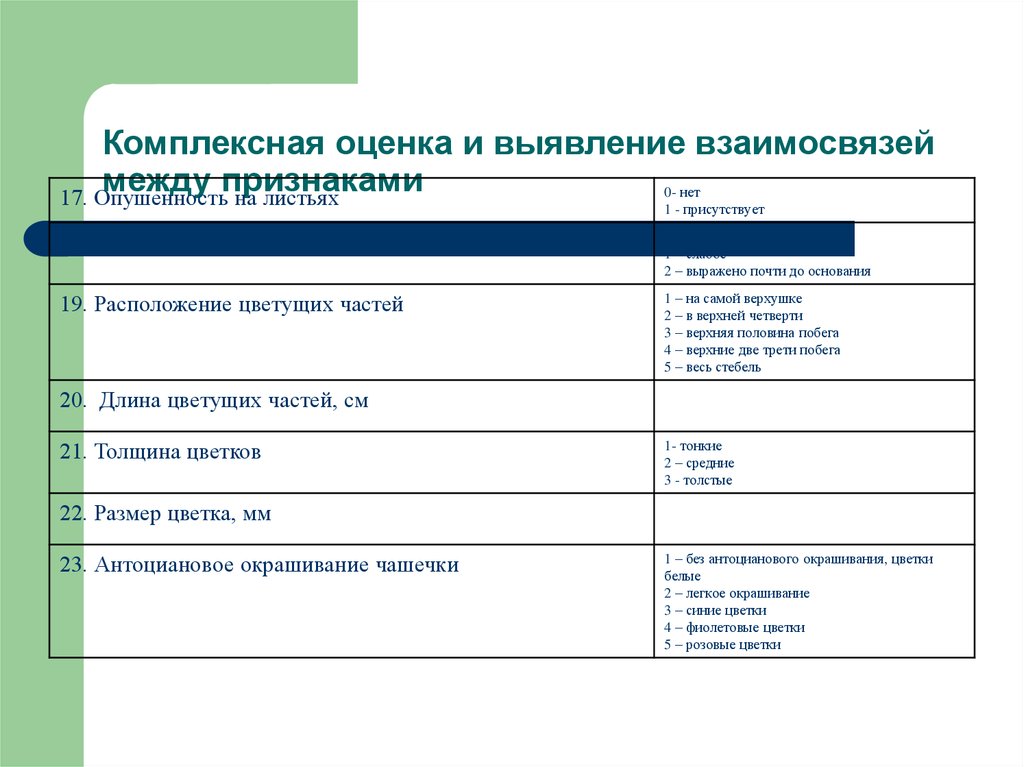 Комплексная оценка текста. Оценка взаимосвязи между признаками. Выявление взаимосвязей. Комплексная оценка проекта. Взаимосвязь оценки и отметки.