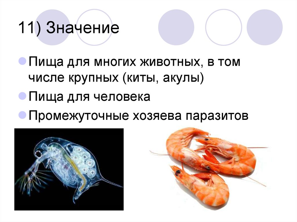 11) Значение