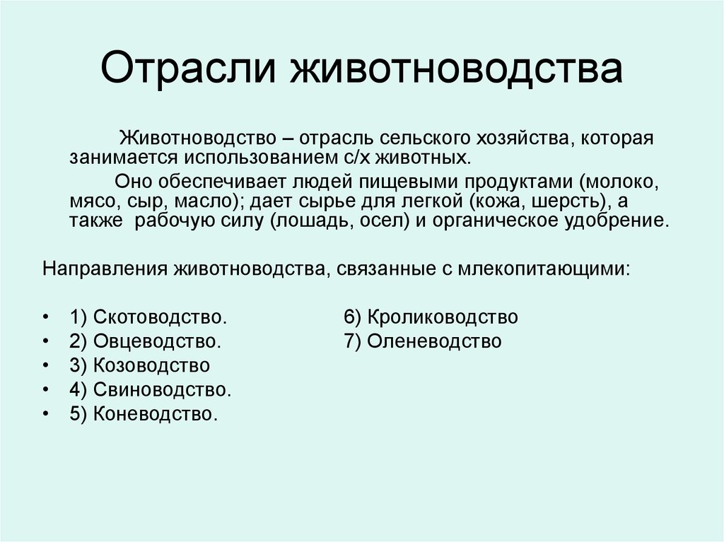 Основные отрасли животноводства. Отрасли животноводства. Отраслижовотноводства.