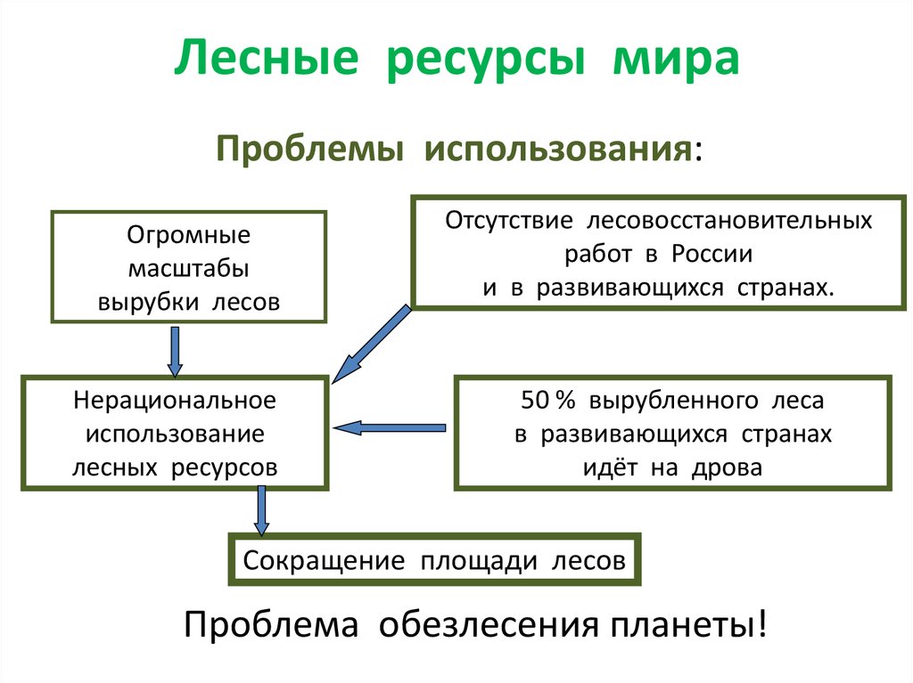 Лесные ресурсы мира и россии презентация