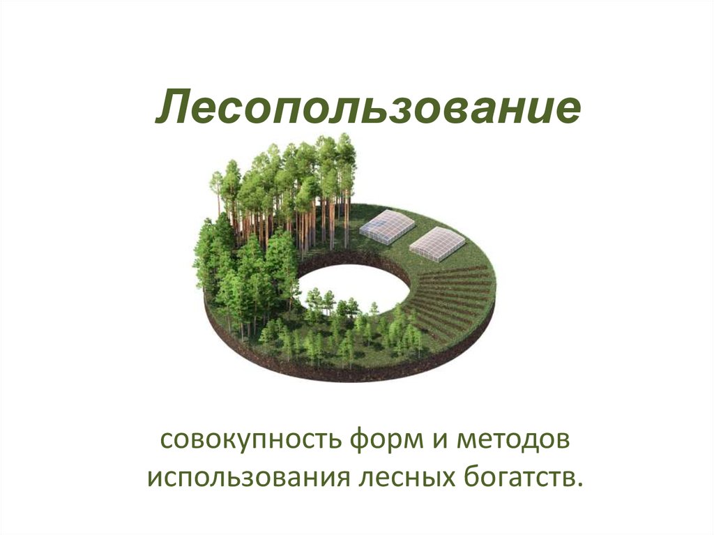 Виды лесопользования. Право лесопользования. Виды использования лесов. Эмблема лесопользование.