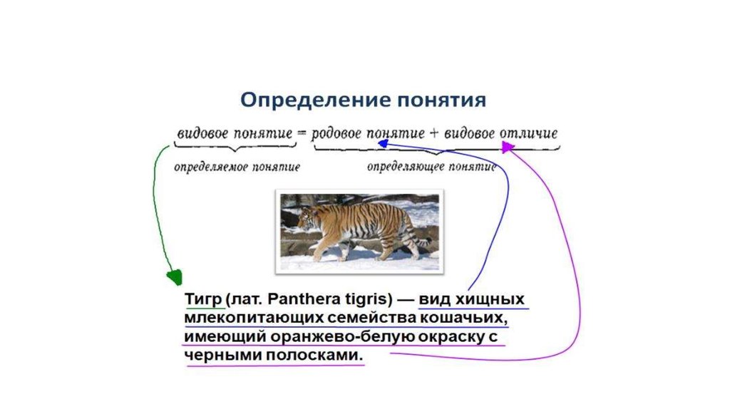 Через понятия. Определяемое и определяющее понятия. Определение понятия примеры. Родовое и видовое понятие. Определяемое и определяющее понятия примеры.