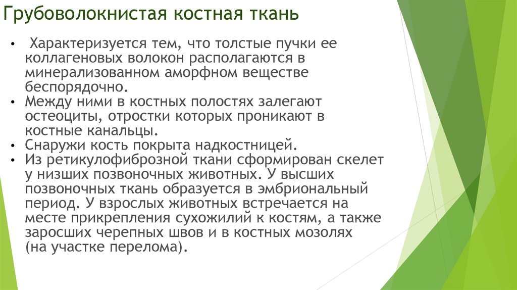 Грубоволокнистая костная ткань