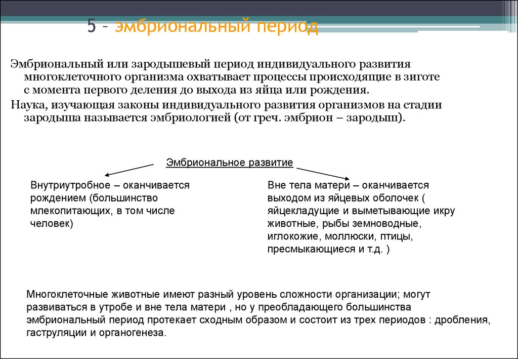 Периоды индивидуального развития. Назвать периоды индивидуального развития. Индивидуальное развитие понятия. Зародышевый период.