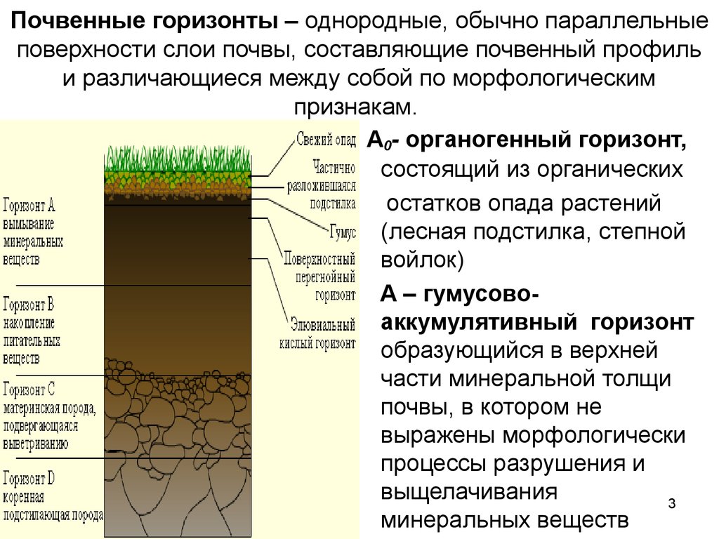 Какую толщину может достигать почва. Строение почвы почвенные горизонты. Структура почвы почвенные горизонты. Гумусовый почвенный Горизонт почвы. Почвенный Горизонт а1.