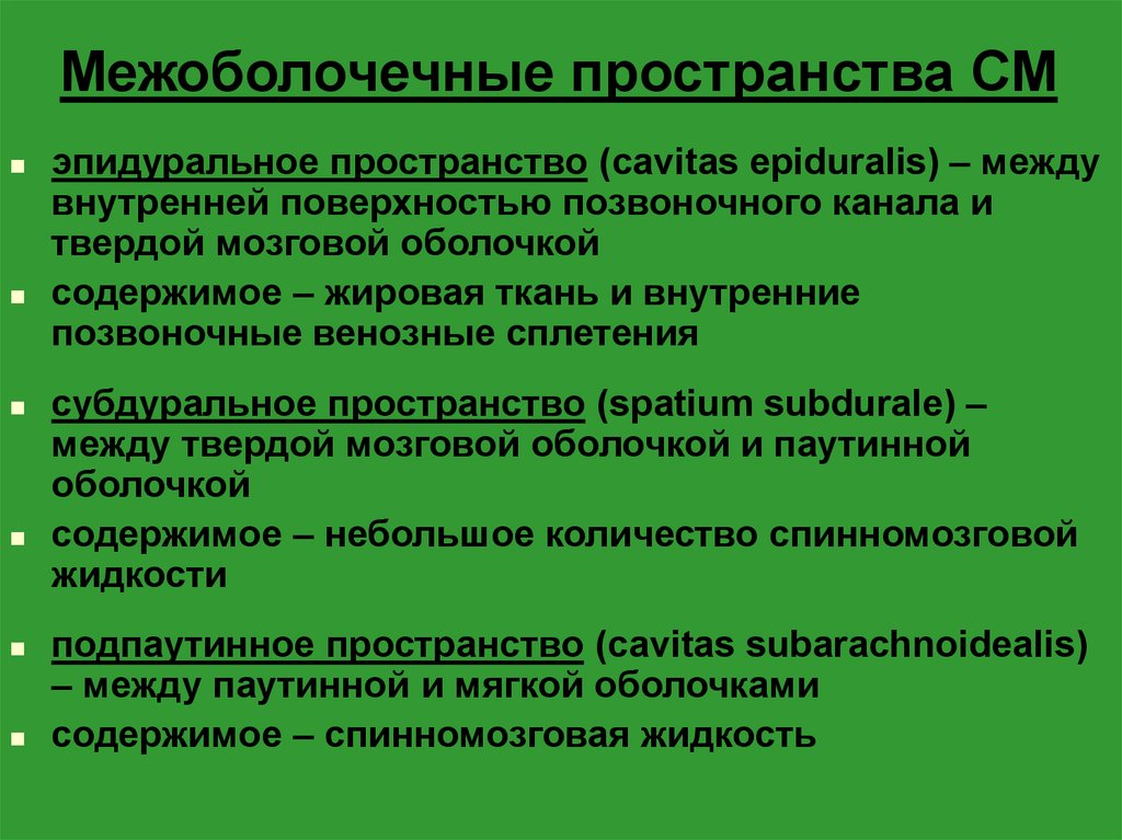 Пространства мозга. МЕЖОБОЛОЧЕЧНЫЕ пространства и их содержимое.. Оболочки головного мозга и МЕЖОБОЛОЧЕЧНЫЕ пространства. Оболочки и МЕЖОБОЛОЧЕЧНЫЕ пространства головного и спинного мозга. МЕЖОБОЛОЧЕЧНЫЕ пространства спинного мозга.