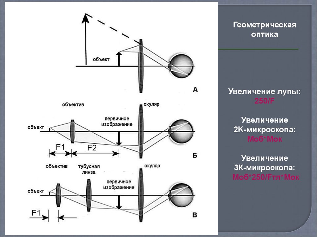 Увеличение лупы формула