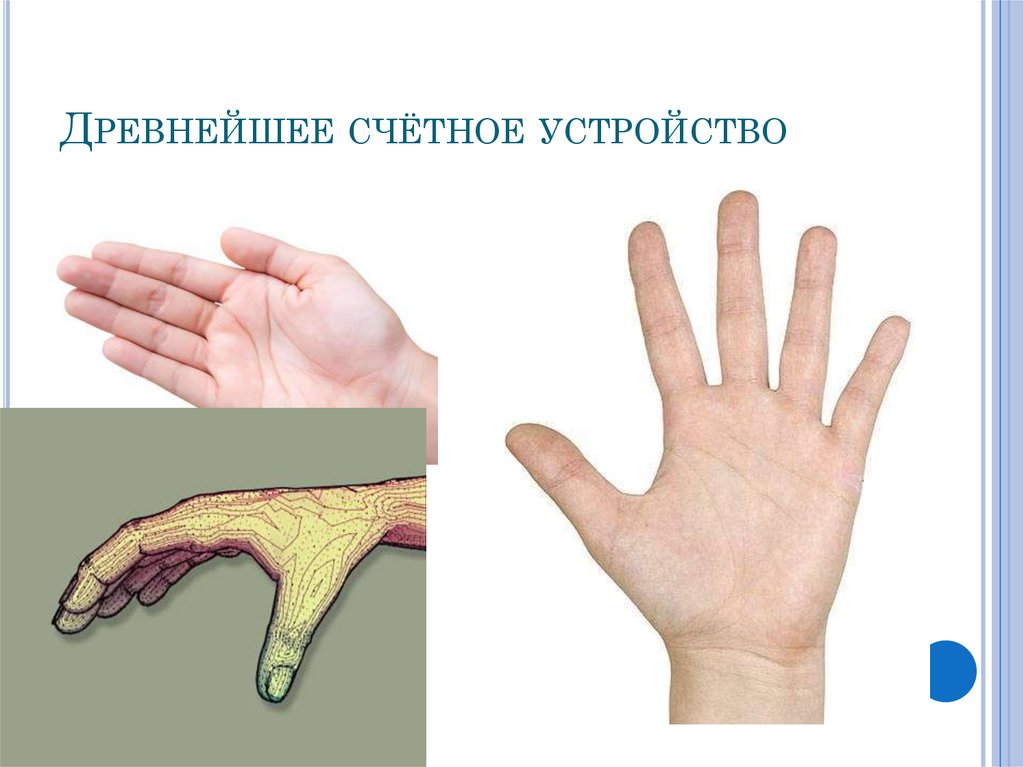 Древнейшее счётное устройство