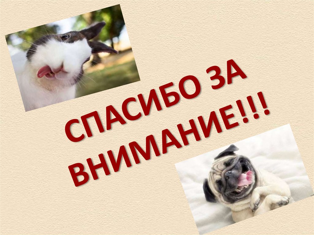 СПАСИБО ЗА ВНИМАНИЕ!!!