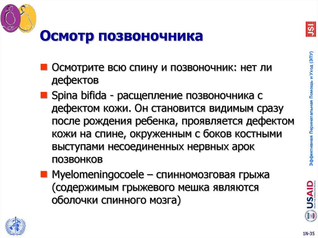 Полный осмотр. Расщепление позвонков чат родителей-здоровье.