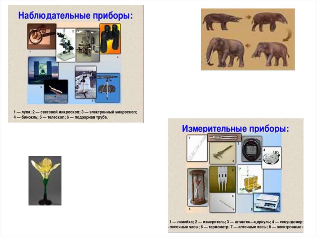 Практическая работа методы изучения природы