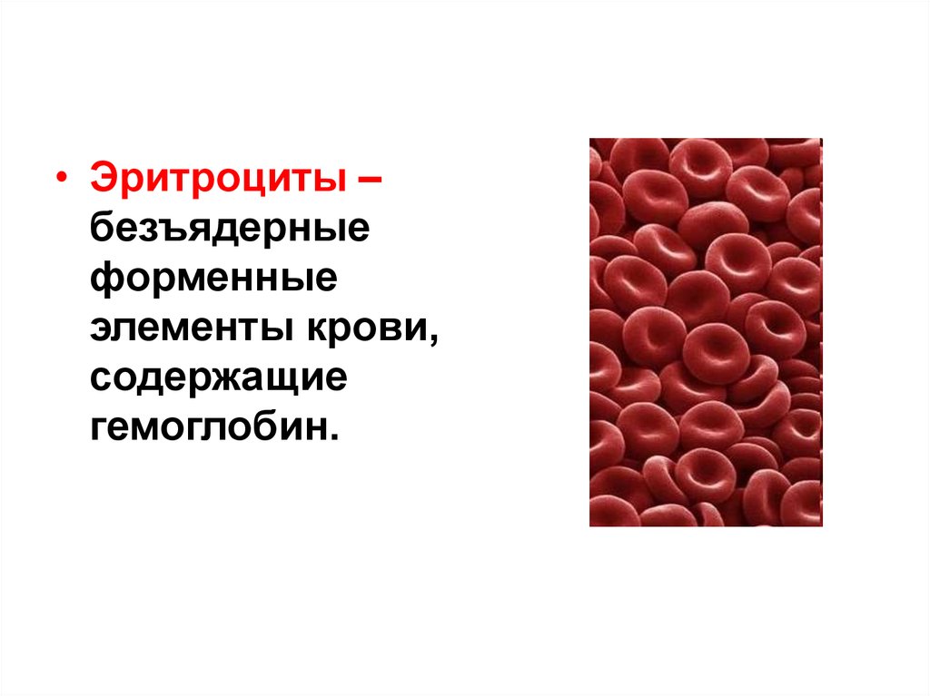 Элементы крови содержащие гемоглобин. Безъядерные форменные элементы крови. Форменные элементы крови содержащие гемоглобин называются. Форменные элементы крови содержащие гемоглобин. Форменные элементы крови эритроциты.
