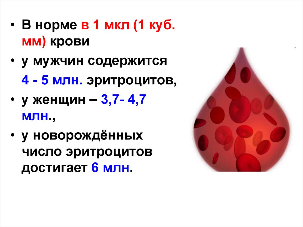 Сколько литров крови у взрослого человека мужчины