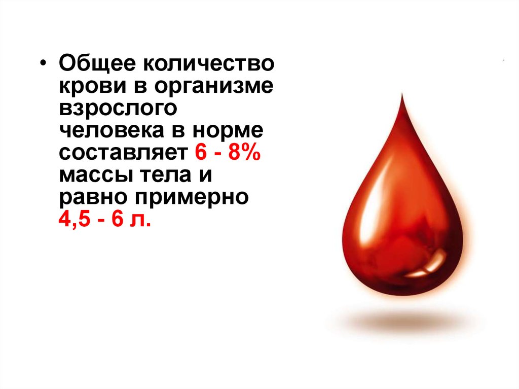 Сколько литров крови в человеке у мужчин