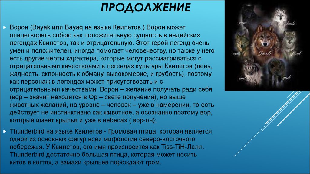 Легенда очень. Предки квилетов. Легенда квилетов Волков. Легенда очень короткая очень. Легенда квилетов чистая правда.