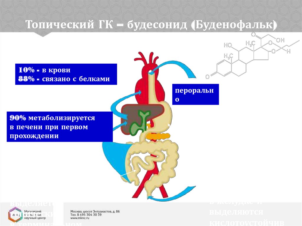 pdf amine oxidases in clinical research