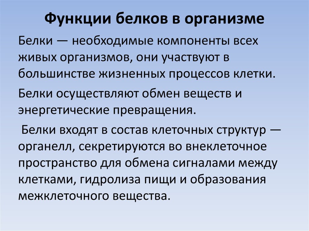 Питания образуют. Роль белков в живом организме. Белки и их роль в организме. Белки их строение и функции в организме. Функции белков в организме.