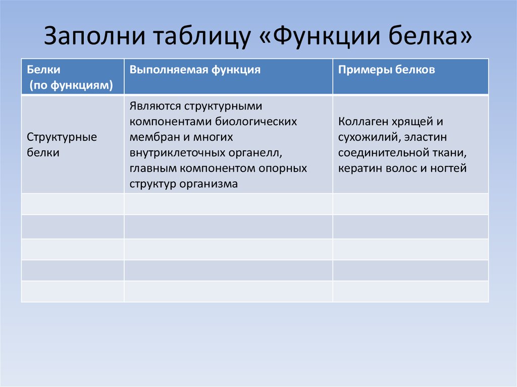 Заполнение функции