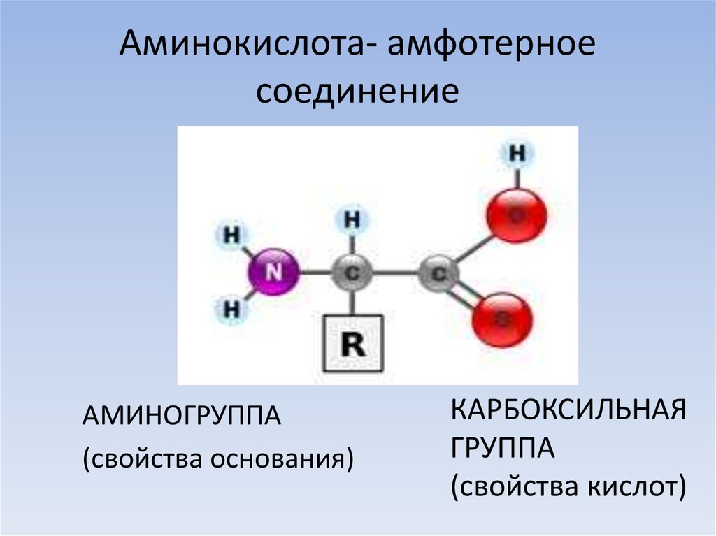 Амины являются соединениями. Аминокислоты амфотерные органические соединения. Аминокислоты амфотерные соединения. Аминогруппа аминокислот. Соединение аминокислот.