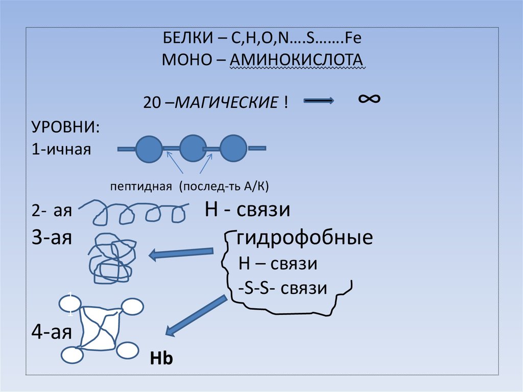 Белки состав структура функции. Белок c2h5oh. S-S связь в белках. Белок + h2o + h+.