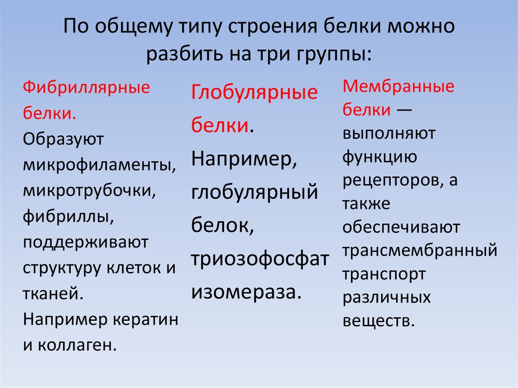 Строение и функции белков